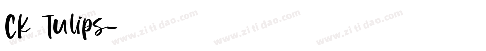 CK Tulips字体转换